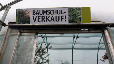 Weniger Baumschulen und weniger Fläche