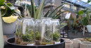 Umsatzstarker Mai 2021 für Gartencenter