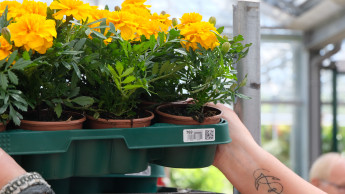 Euro Plant Tray führt zwei neue 200er-Modelle ein
