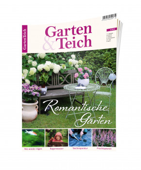 Aus Gartenteich wurde Garten & Teich, Dähne Verlag