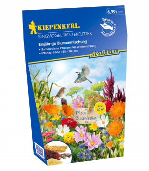 Nebelung, Kiepenkerl, Blumenmischungen