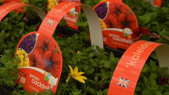Britische Gartencenter setzen 30 Prozent mehr um
