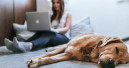 Onlineboom im Einzelhandel auch nach Corona?