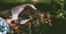 Gartenarbeit ist gesund für Körper und Geist