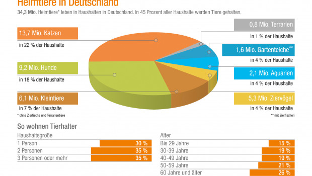 Katzen und Hunde sind die beliebtesten Heimtiere in Deutschland, wie aus der Statistik für 2017 von ZZF und IVH hervorgeht.