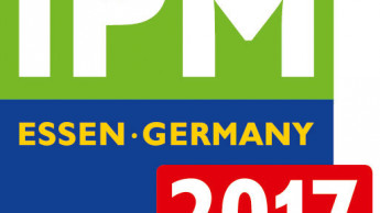 Ihrem Ruf gerecht geworden