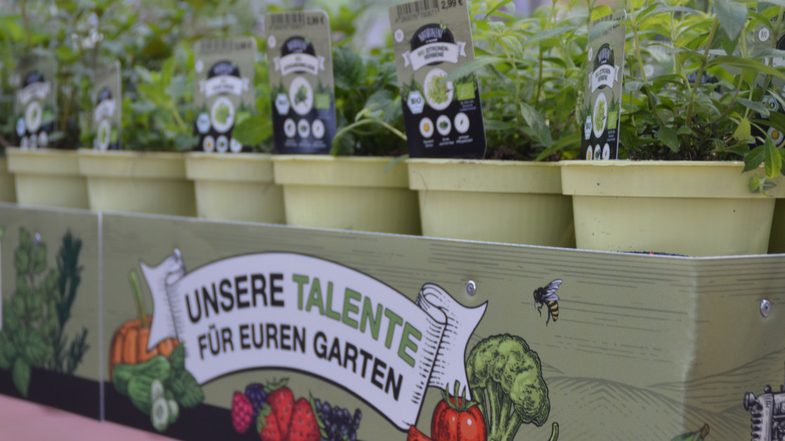 Toom bietet Pflanzen aus torfreduzi... diy online