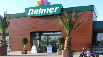 Dehners Neuauftritt in Heidelberg
