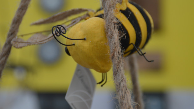 Das Thema Bienen schlägt sich mehr und mehr im Handel nieder.