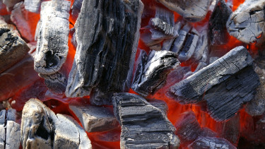 Tropenholz in Grillbriketts nachgewiesen