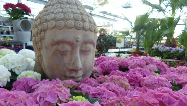 Der Garten schafft Entspannung - Baumärkte und Gartencenter helfen dabei. Der Garten schafft Entspannung - Baumärkte und Gartencenter helfen dabei.