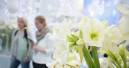 Mehr Besucher der Christmasworld, Paperworld und Creativeworld
