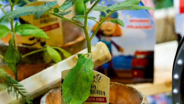 Auch Wickie hilft beim Pflanzenverkauf: Die Landgard hat ein Lizenz-Konzept mit dem kleinen Wikinger im Angebot.