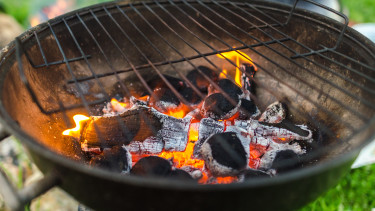 Grillverband BIAG erwartet Krise bei Holzkohle