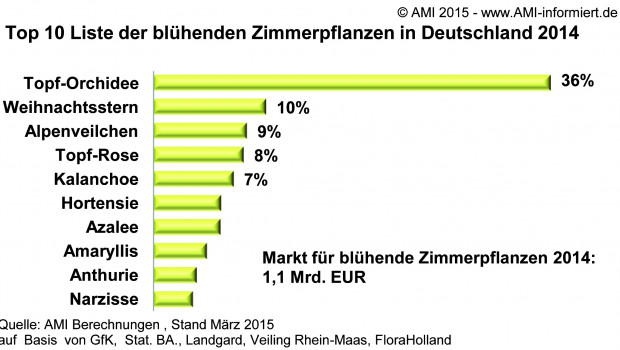 Anteile der Gesamtausgaben der blühenden Zierpflanzen in der AMI-Statistik.
