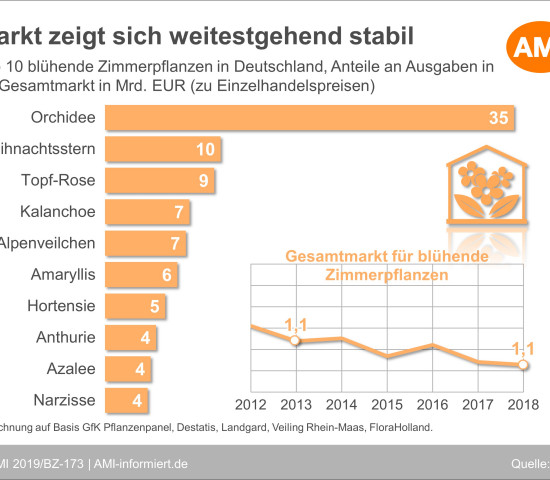 Die Top 10 bei Zimmerpflanzen.