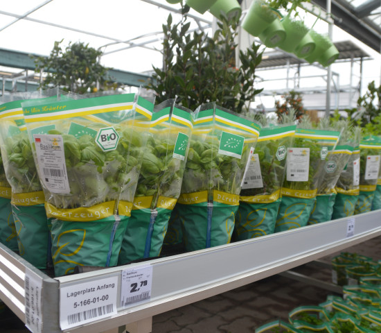 Im grün-orientierten Tübingen ist das Angebot an Kräutern und Pflanzen in Bio-Qualität größer als in anderen Obi-Märkten.