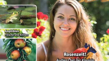 Terres-Agentur ausgezeichnet