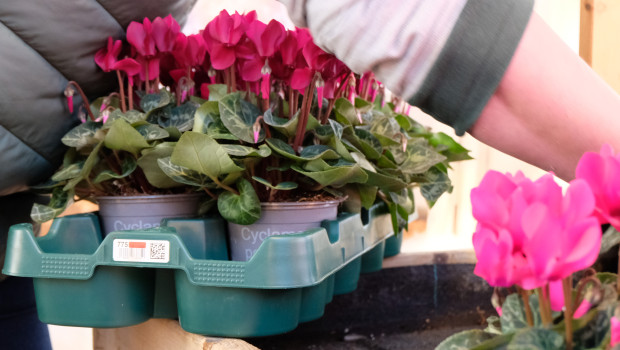 Die Mehrwegtrays der EPT kommen künftig auch bei der Ekaflor zum Einsatz.