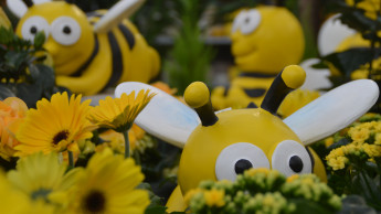 Heute ist Weltbienentag