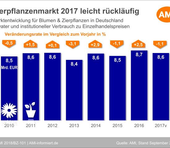 Der Markt war 2017 leicht rückläufig. Quelle: ZVG/AMI Der Markt war 2017 leicht rückläufig. Quelle: ZVG/AMI