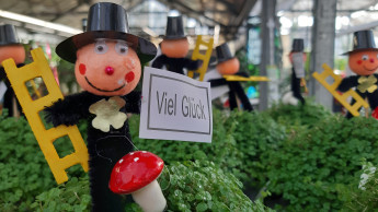 Ein gutes neues Jahr!