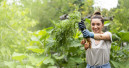 Profi-Gartenhandschuhe für alle