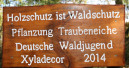 Beispielhafte Waldprojekte