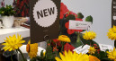 IPM Essen auf 2023 verschoben, IPM Summer Edition im Juni 2022
