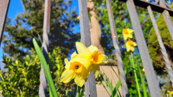 Eine gute Karwoche – und frohe Ostertage!