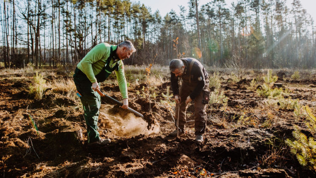 Fiskars agiert als Sponsor der Baumpflanztour 2022 von Plant-my-Tree. 