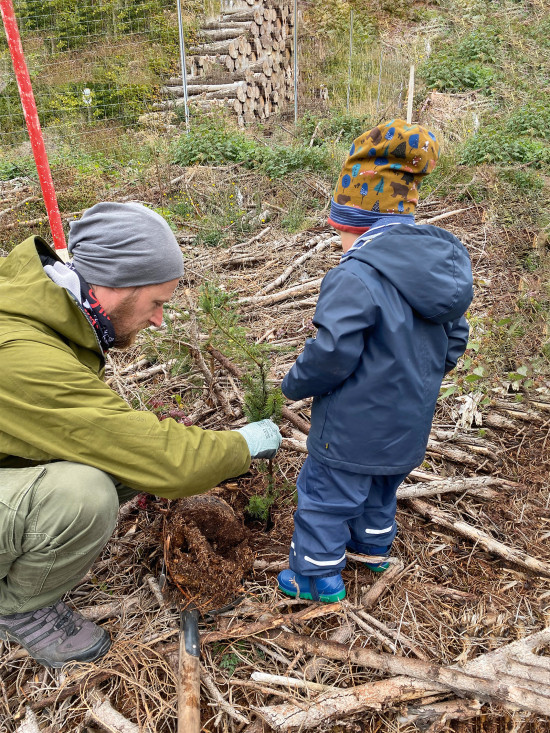 Bei den sogenannten Root Camps pflanzt Profagus gemeinsam mit Schulklassen, Vereinen, Familien und anderen freiwilligen Helfern neue Bäume.
