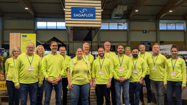 „Licht am Horizont“ des Marktes