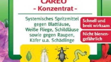 Mit Vollgas gegen Läuse