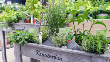 Das grüne Herz der Branche