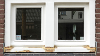 Erste Hilfe bei Holzfäule