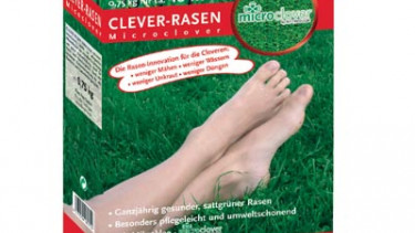 Rasen mit Mikroklee