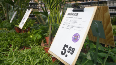 Preiserhöhungen auch im Gartenmarkt
