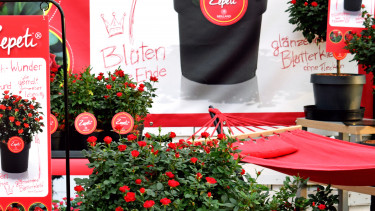 Die Botschaft der Pflanzen