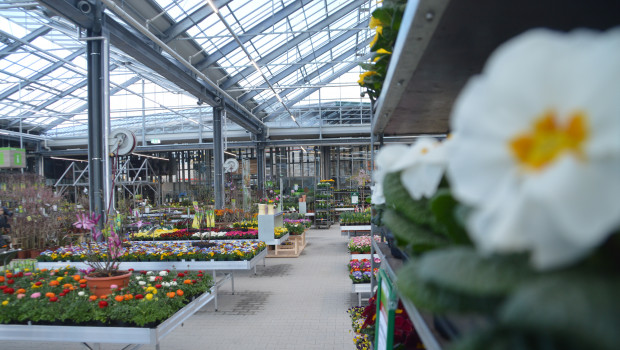 Der Gartenhandel braucht ein zeitnahes Öffnungsszenario, mahnen die Verbände im grünen Markt an.