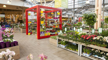 Weitere Gartenwelt bei Knauber