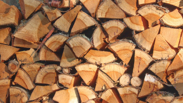 Brennholzpreise explodieren