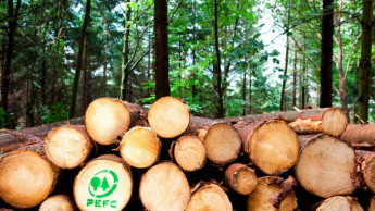 „Charta für Holz 2.0“ stärkt Bedeutung von zertifiziertem Holz