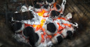 Immer weniger Holzkohlegrills Immer weniger Holzkohlegrills
