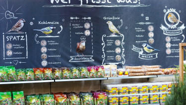 Herongen statt Kassel