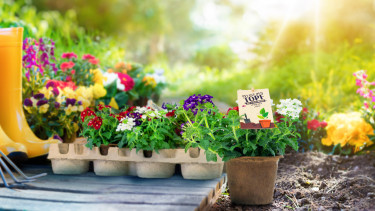 „Pflanz den Topf“ von Landgard für Green Product Award nominiert