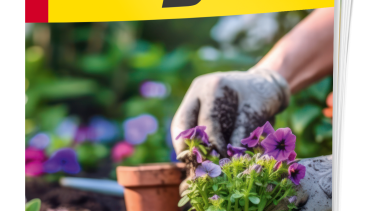 E-Magazin Gartentrends