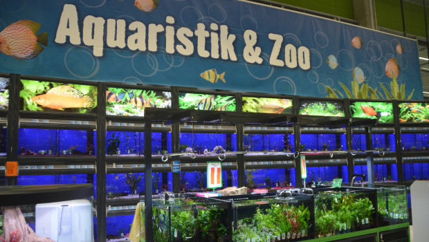 Auch in Eisenstadt gibt es eine Aquaristik-Abteilung. 