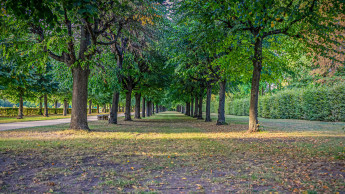 Immer weniger Grün in den Städten