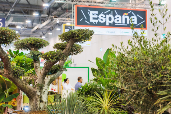 Zahlreiche Gemeinschaftsstände bringen internationale Präsenz nach Essen.